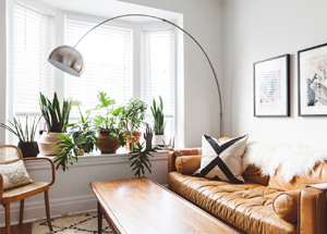 decoracion